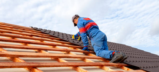 Best Roof Moss and Algae Removal  in , MS
